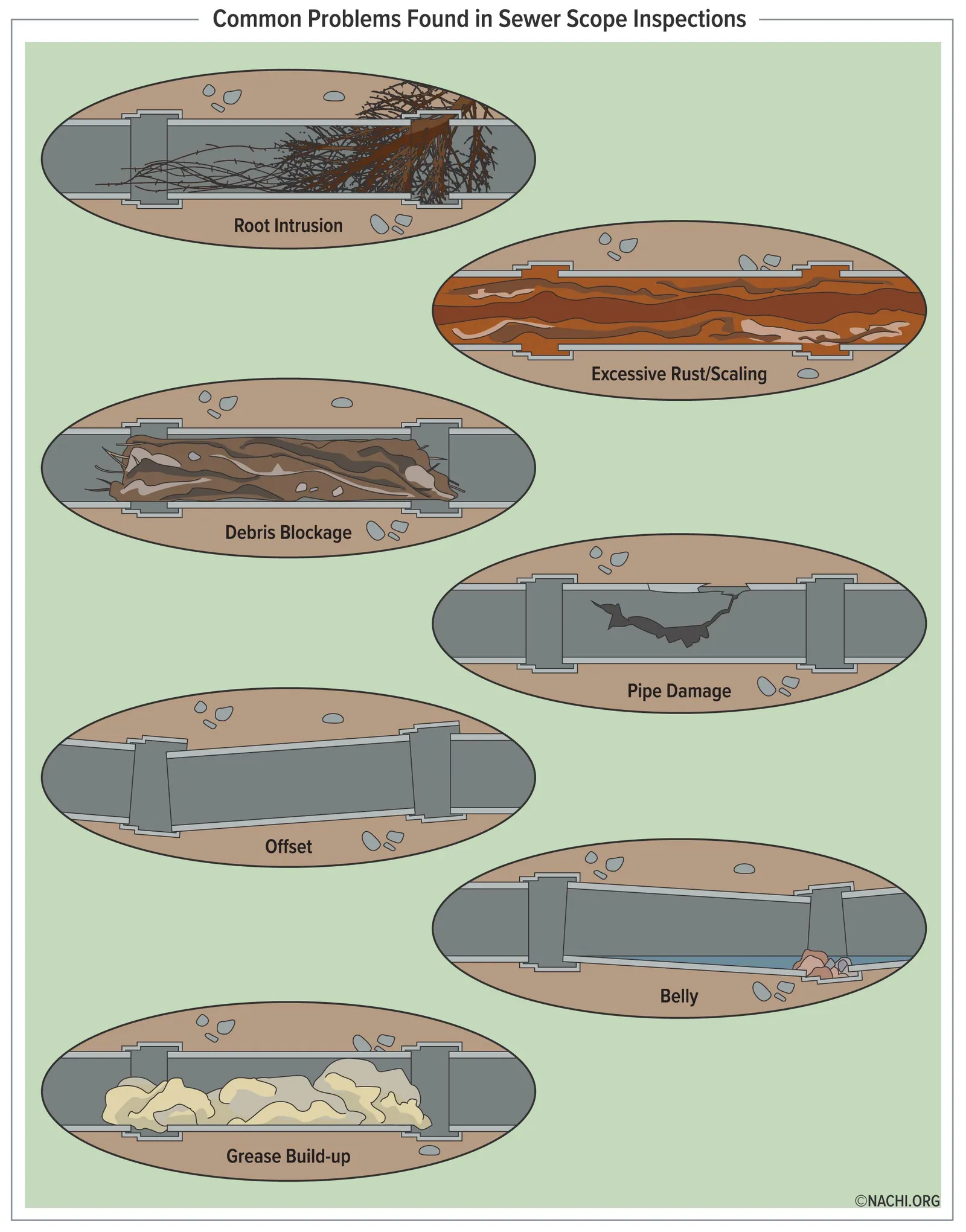 Infographic of common problems found in sewer scope inspections