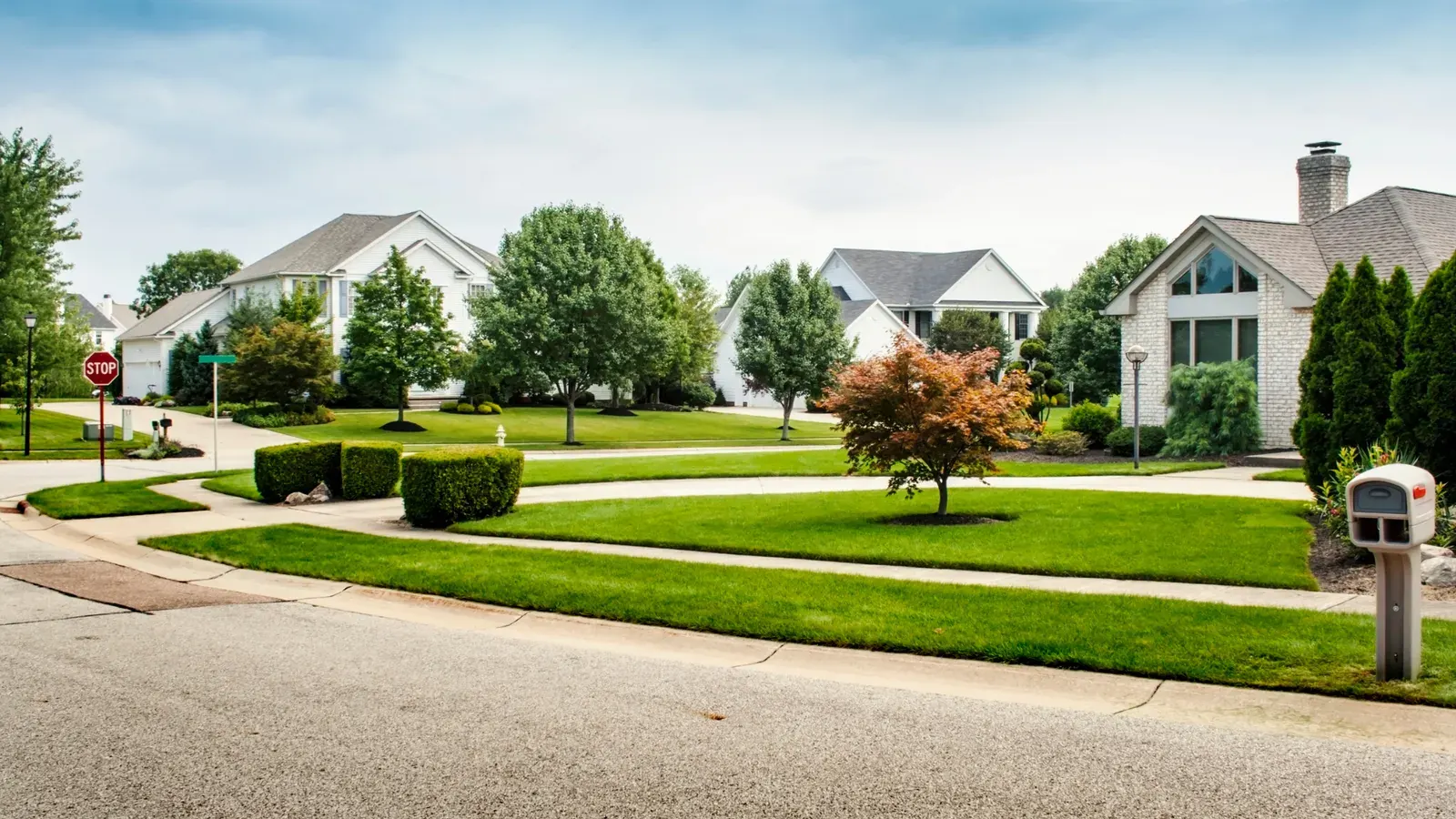 Tree-lined residential street with homes and green lawns