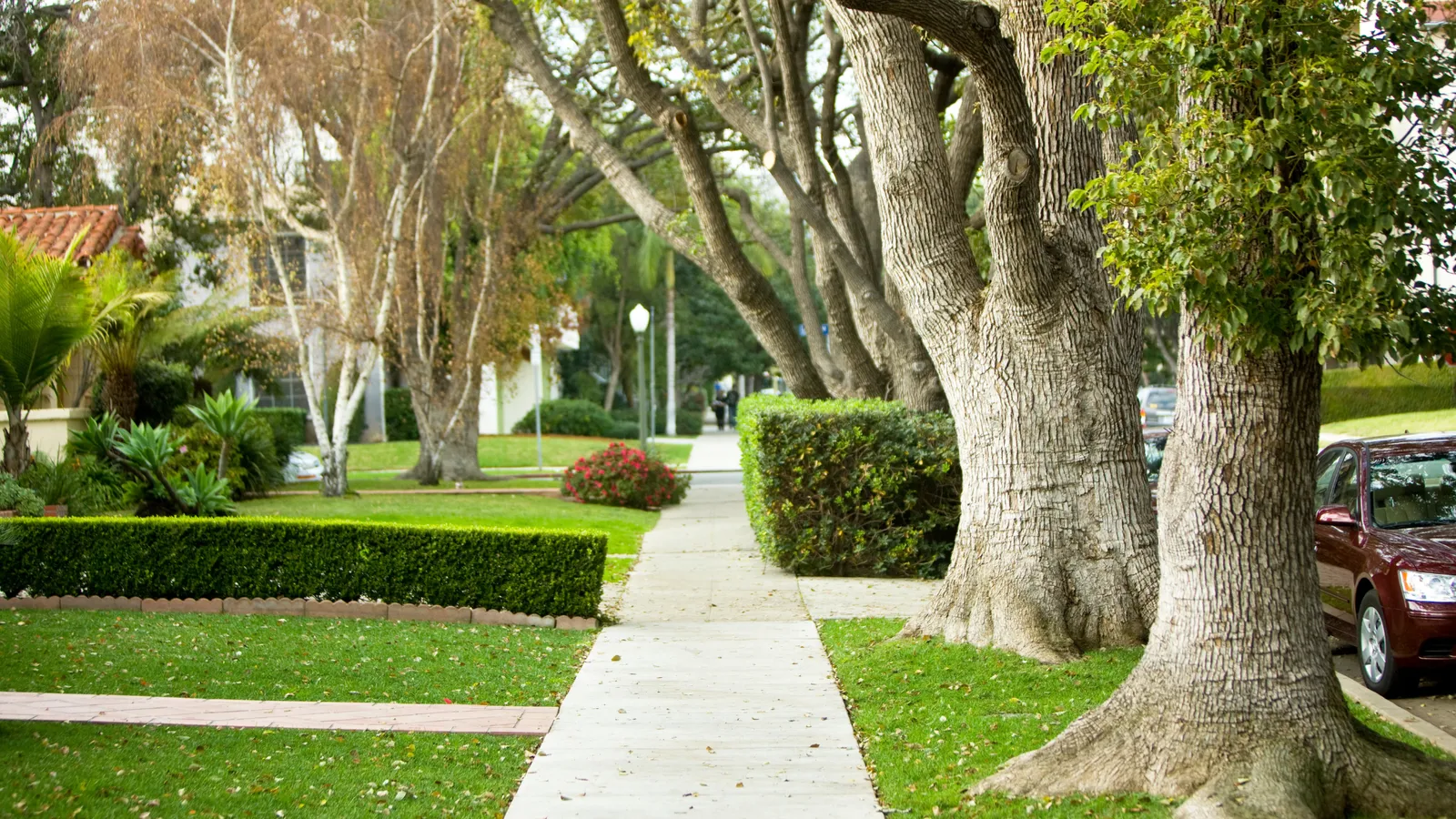 Shaded sidewalk lined with mature trees and trimmed hedges