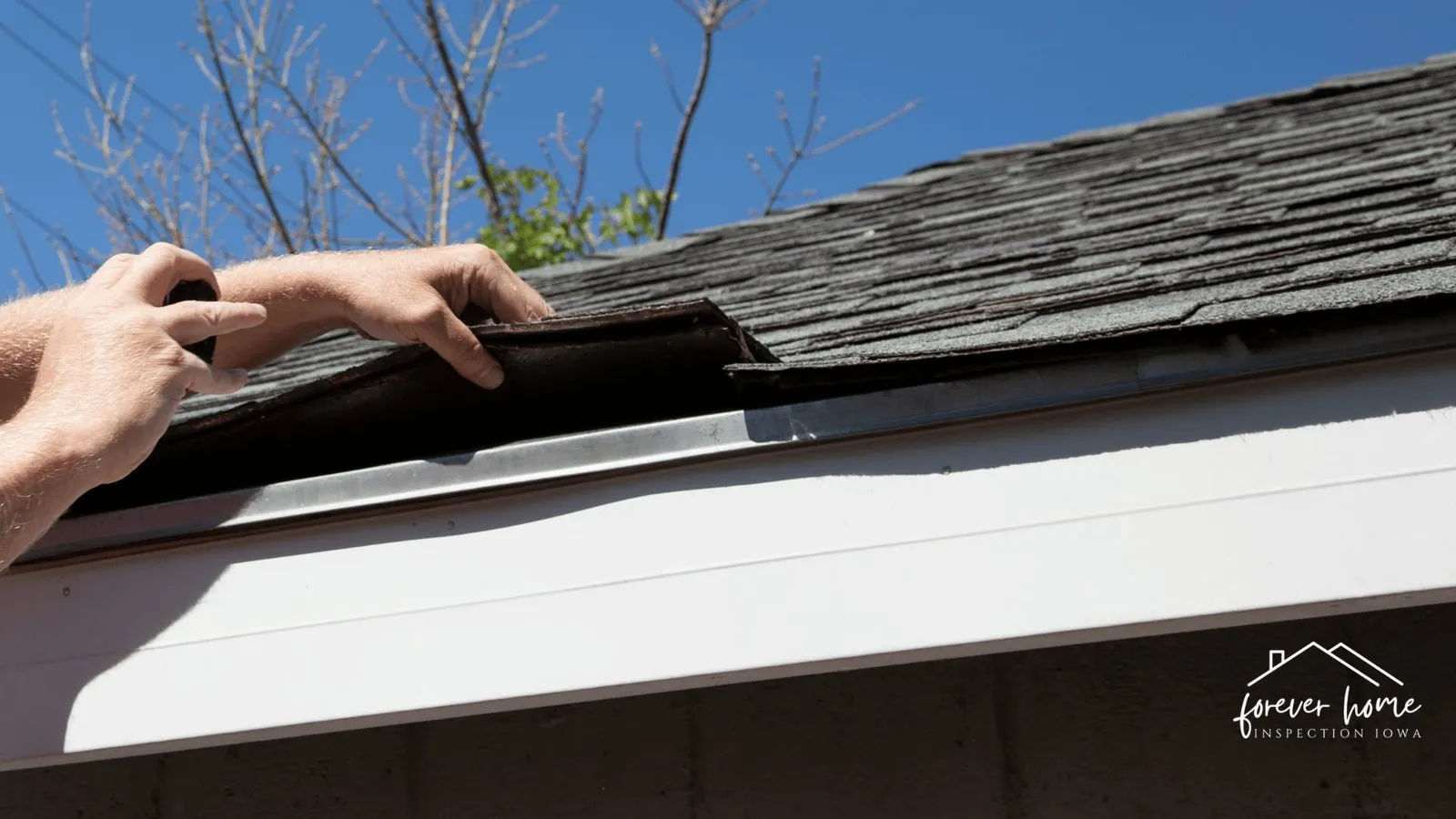 Hands lifting a damaged shingle at the edge of a roof