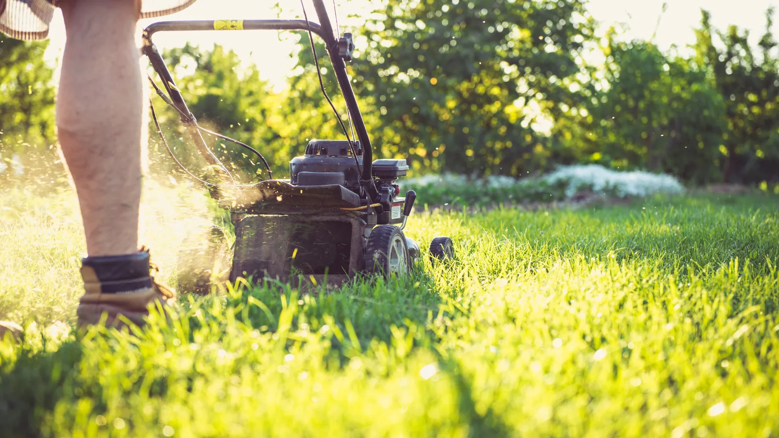 Person mowing a green lawn