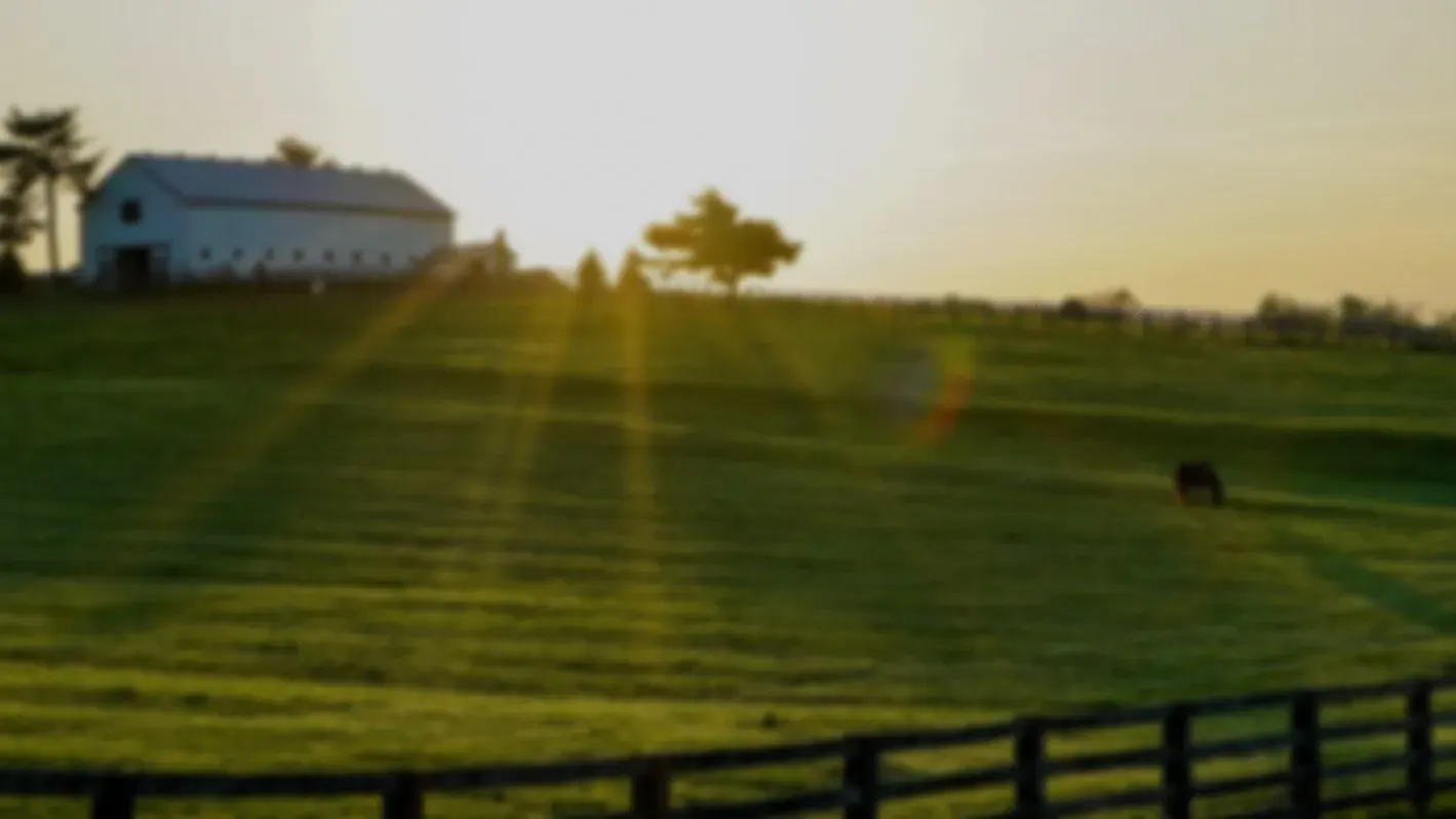 An Iowa farm field and barn at sunrise